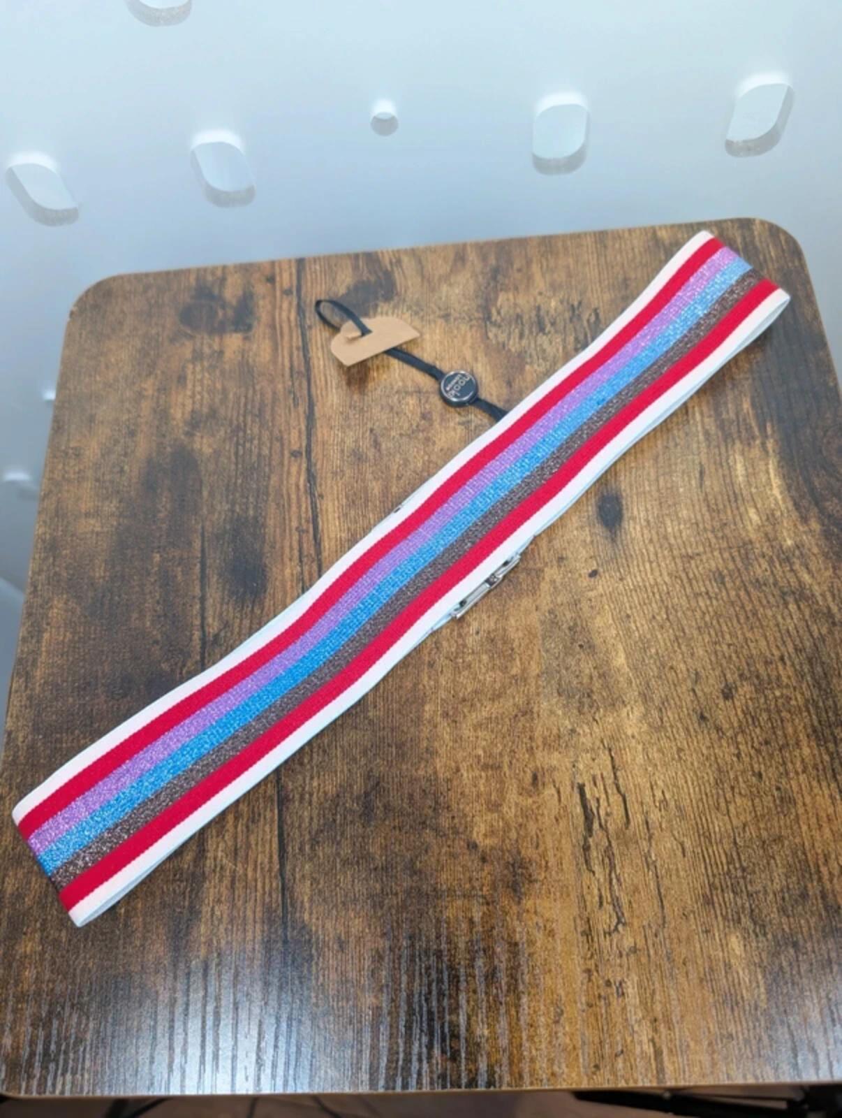 Nooki London Swizzle Metallic Stripe Belt NWT Small/Medium
